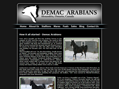 Demac Arabians